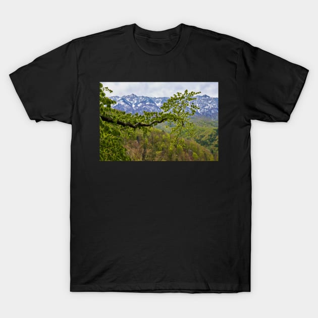 Springtime landscape through forest T-Shirt by naturalis